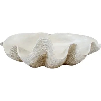 Clam Shell Small