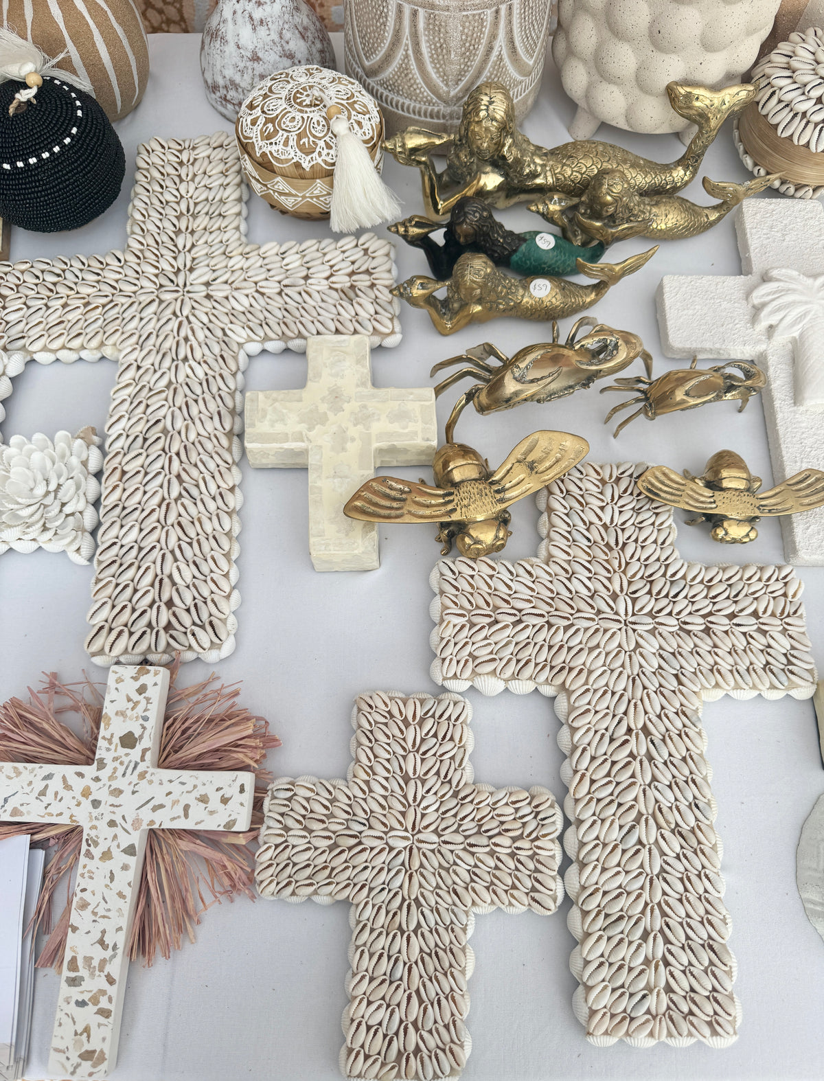 Shell Cross Cowrie - Medium