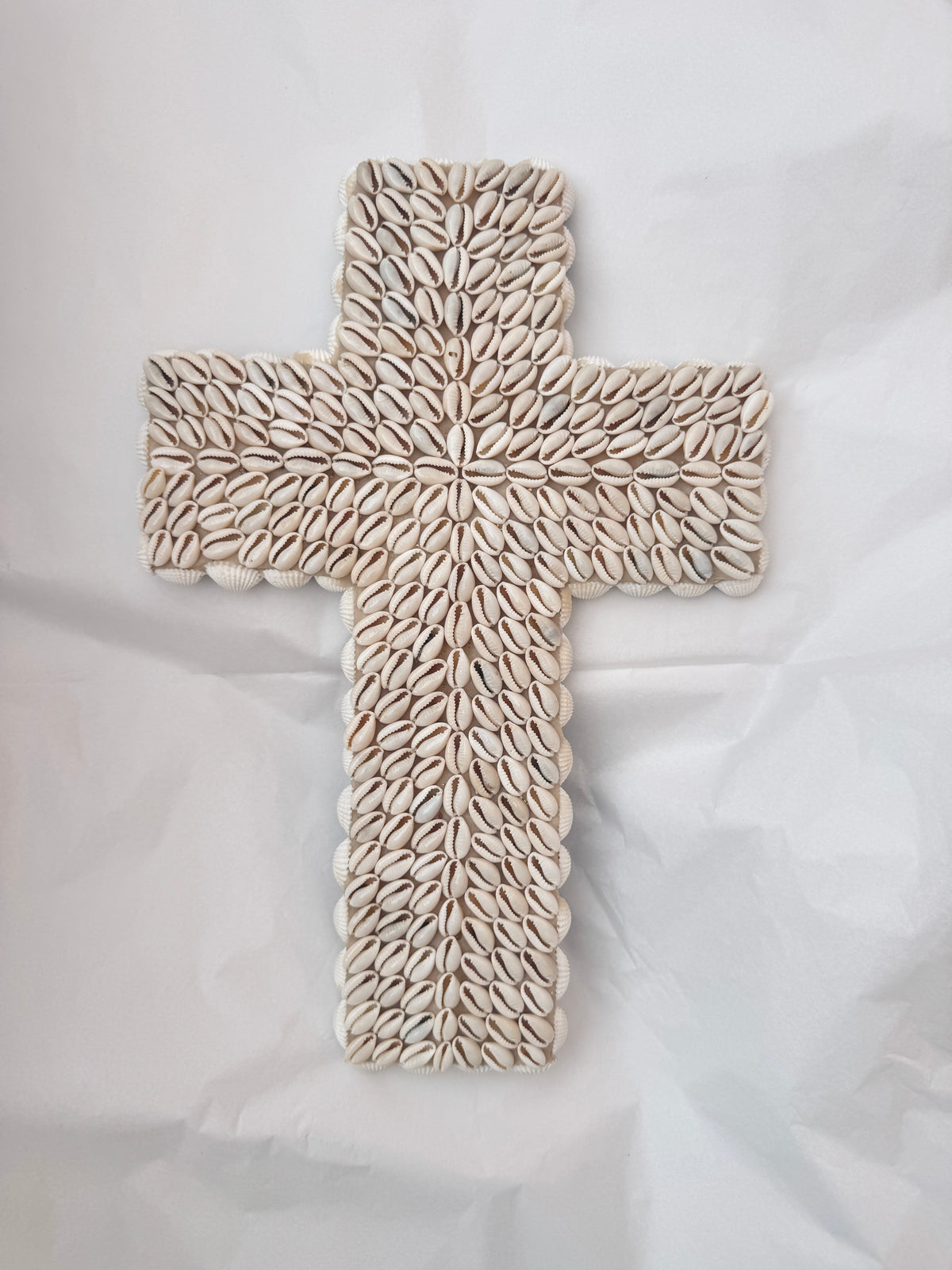 Shell Cross Cowrie - Medium