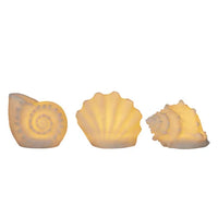 Resin Indoor/Outdoor Lamp Shell Mini Lamps