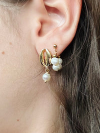 Cowrie Cove Earrings