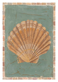 Tahnee Kelland Print A3 - Scallop