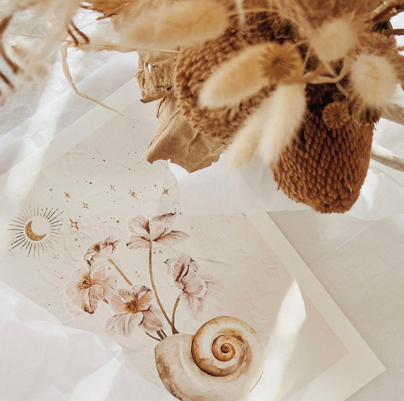 Brigitte May Seashells & Strars Print A3