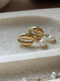 Cowrie Cove Earrings