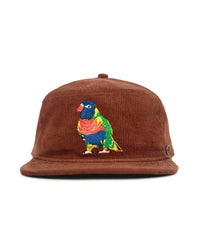 The Stash Cap Rainbow Lorikeet Brown Corduroy