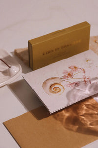 Card - Seashells and Stars \02