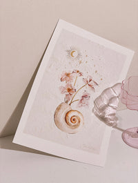 Brigitte May Seashells & Strars Print A3