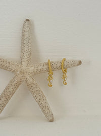 Earrings- Sea Gypsy Seahorse