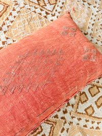 Cactus Silk Large Lumbar Cushion LL22