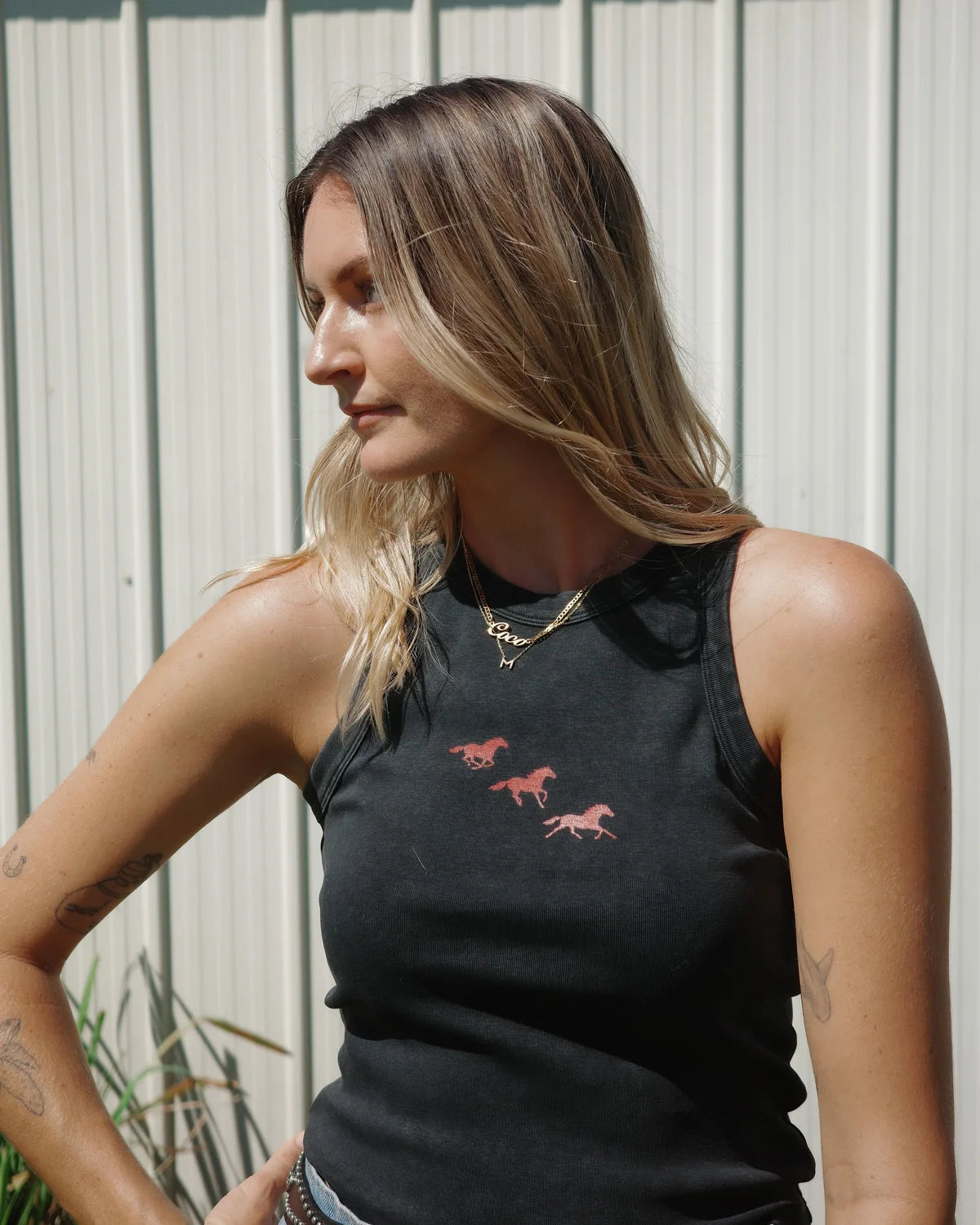 Running Horses Tank