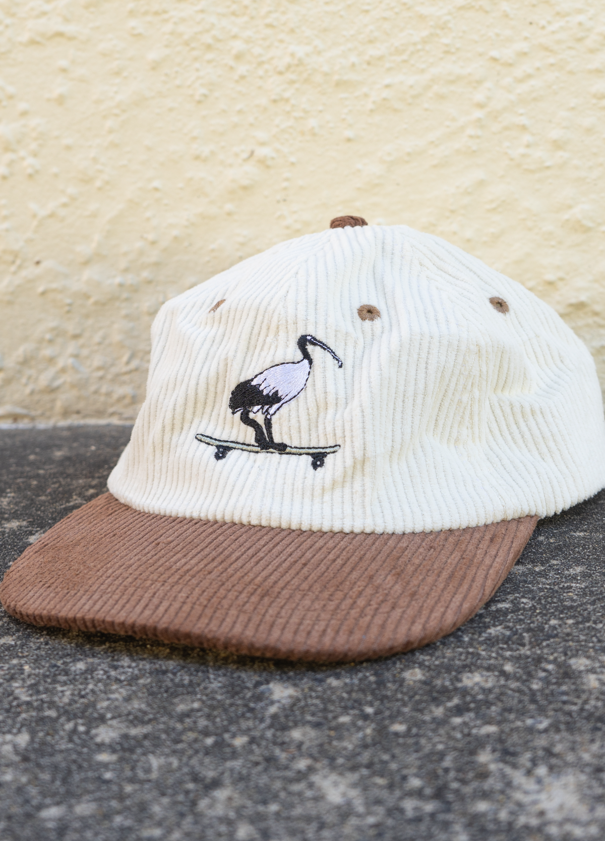Skatepark Scavenger Hat