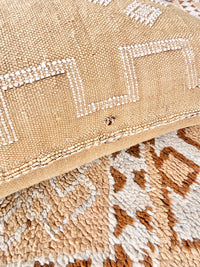 Cactus Silk Large Lumbar Cushion LL21 *Seconds*