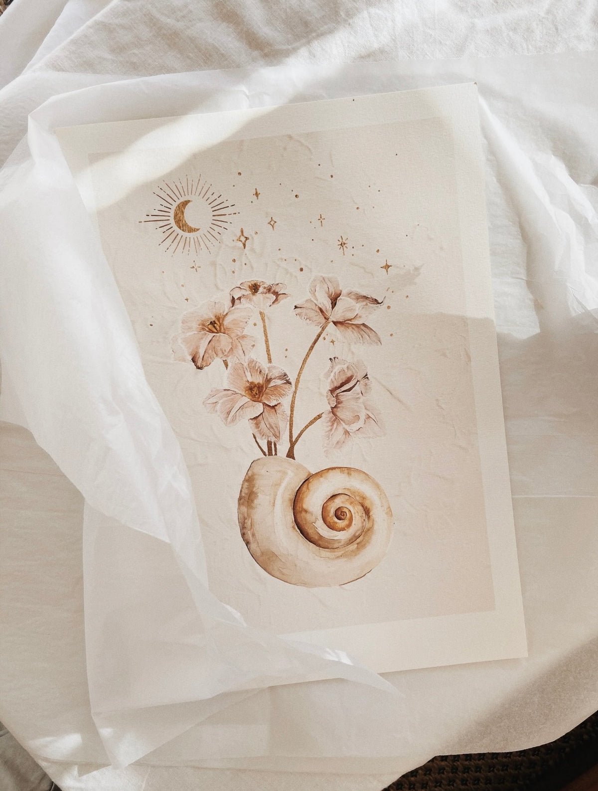 Brigitte May Seashells & Strars Print A3
