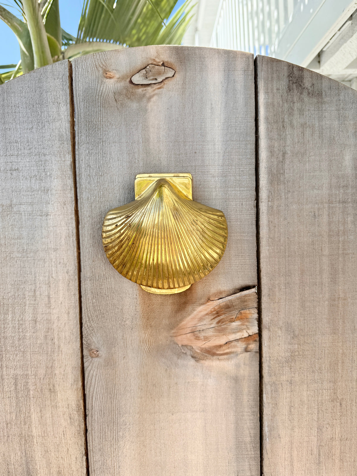 Brass Scallop Shell Door Knocker Gold