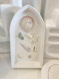 Plaque - Shell - Small