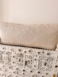 Cactus Silk Large Lumbar Cushion LL27