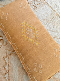 Cactus Silk Large Lumbar Cushion LL27