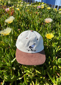Skatepark Scavenger Kids Hat