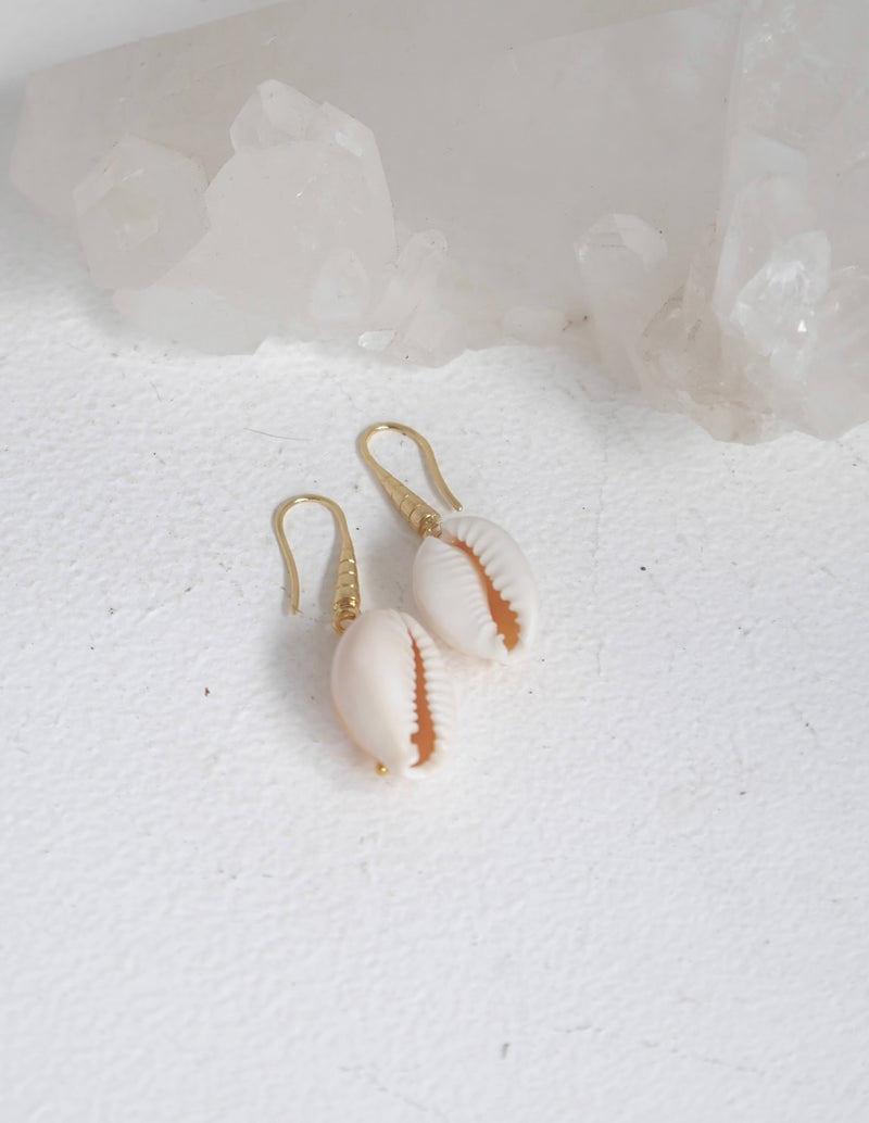 Earrings - Rani Single Shell