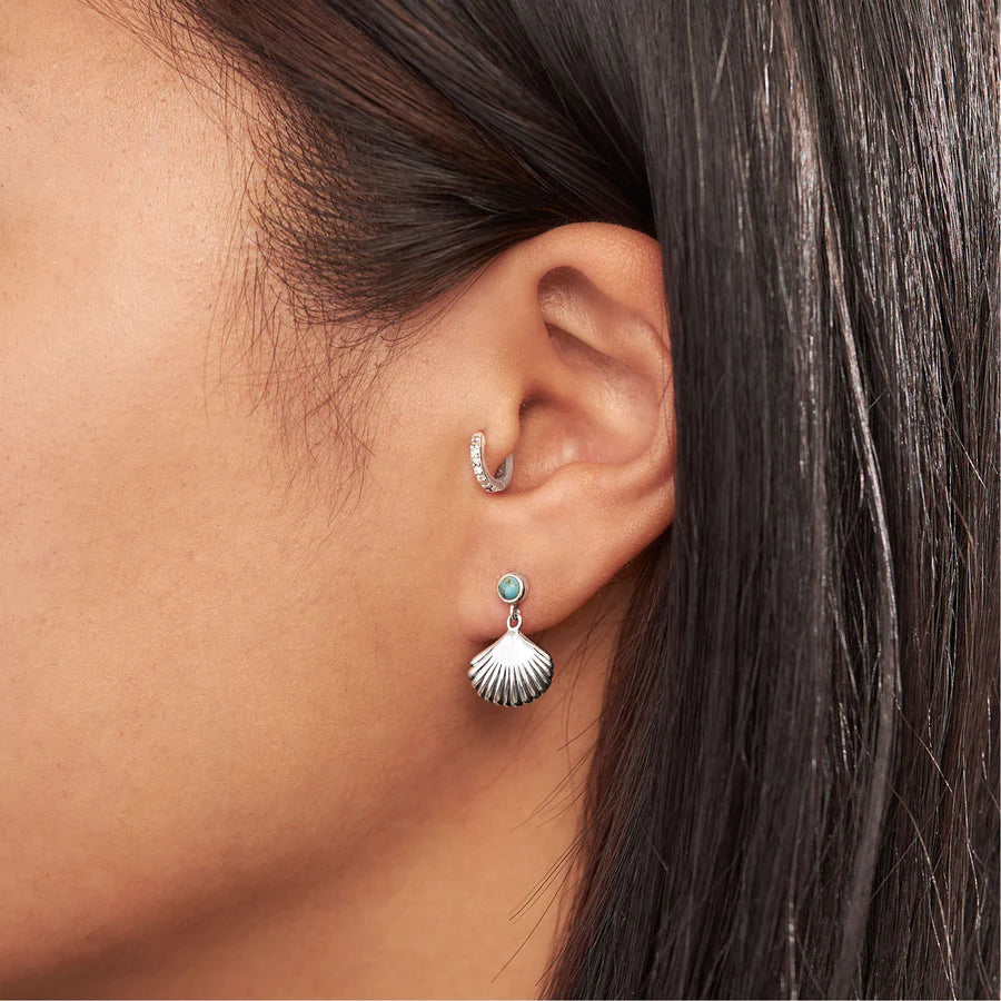 Seashell Turquoise Studs Earrings