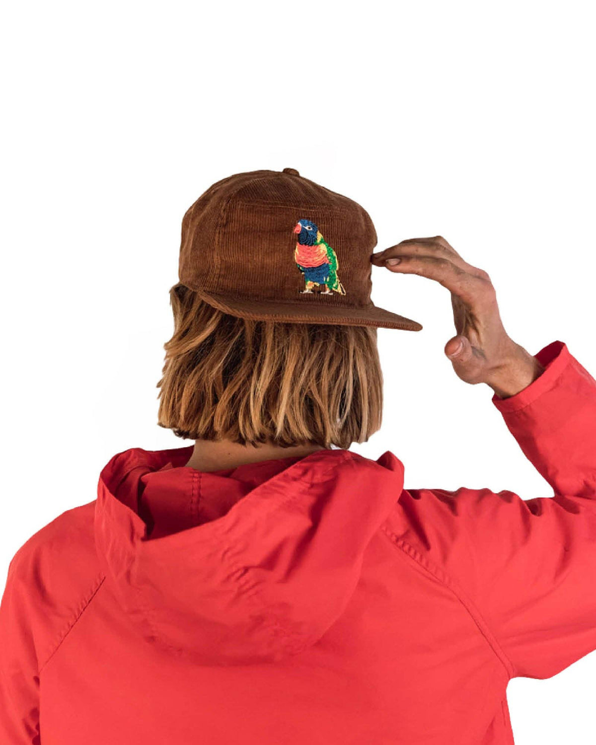 The Stash Cap Rainbow Lorikeet Brown Corduroy