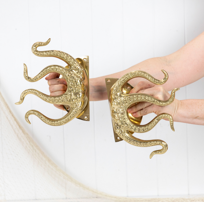 Brass Octopus Door Handles Pair