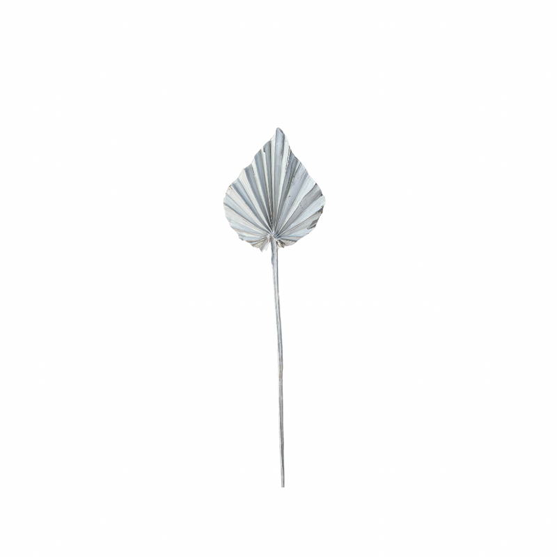 White Small Palm Spear Stem Leaf