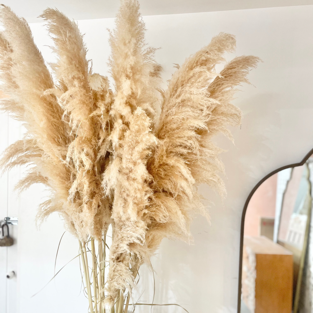 Fluffy pampas online grass